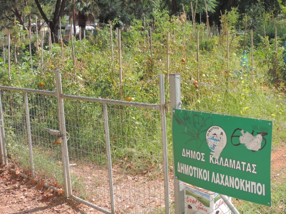 Επεκτείνεται το πρόγραμμα δημοτικών λαχανόκηπων στην Καλαμάτα
