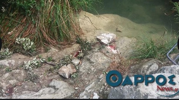 24χρονή έχασε τη ζωή της στο Πολυλίμνιο μετά από πτώση βράχου