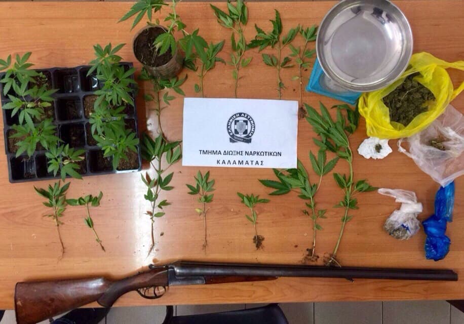 Σύλληψη 55χρονου στην Καλαμάτα με 21 δενδρύλλια , ποσότητες κάνναβης,  ζυγαριά ακριβείας και κυνηγετικό όπλο