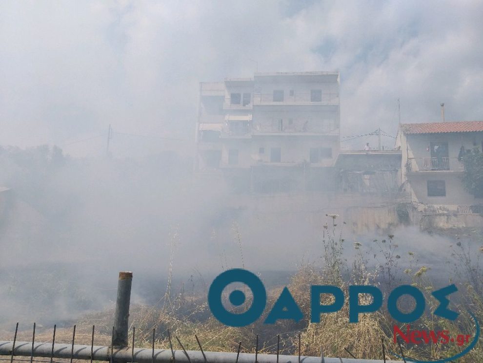 Καλαμάτα: φωτιά σε οικόπεδο στην περιοχή του νεκροταφείου