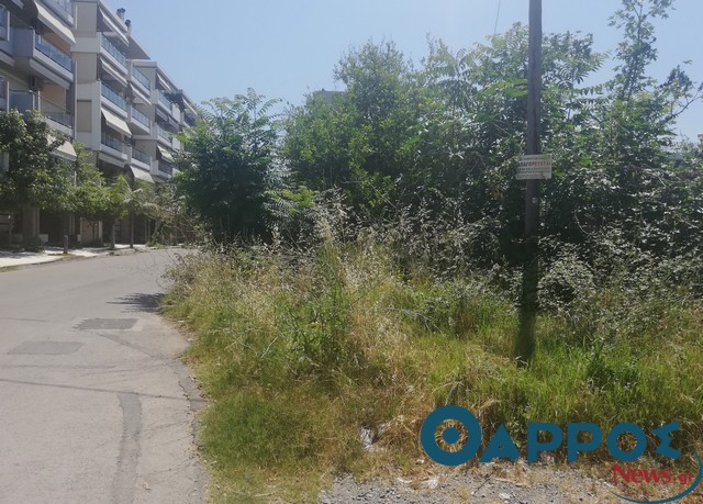 Ακαθάριστα οικόπεδα…