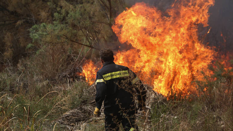 Φωτιά στην Ανατολική Μάνη – Εισηγήσεις για εκκένωση του οικισμού Καλύβια