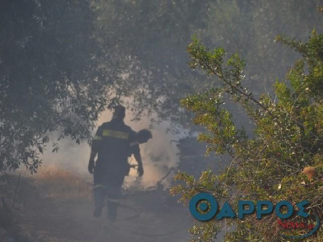 Μεσσηνία: Προσοχή – Πολύ υψηλή επικινδυνότητα πυρκαγιάς σήμερα