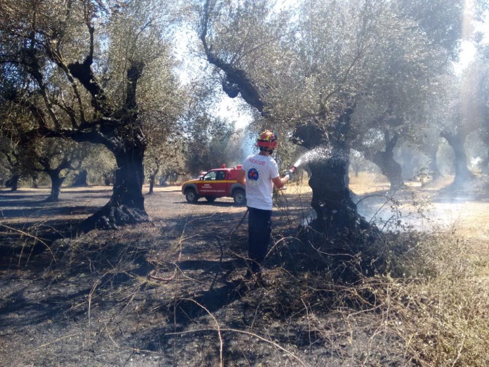 Άμεση παρέμβαση