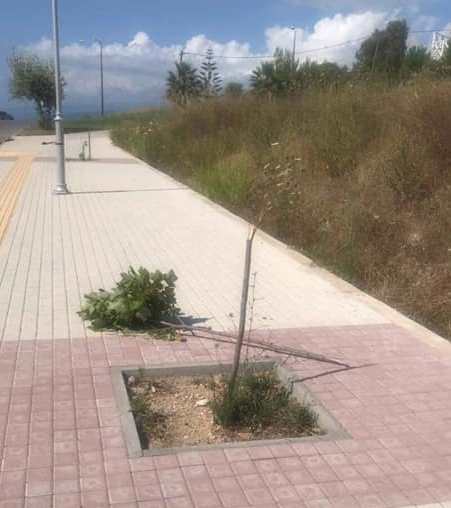 Βαρβαρότητα στην καθημερινότητα…