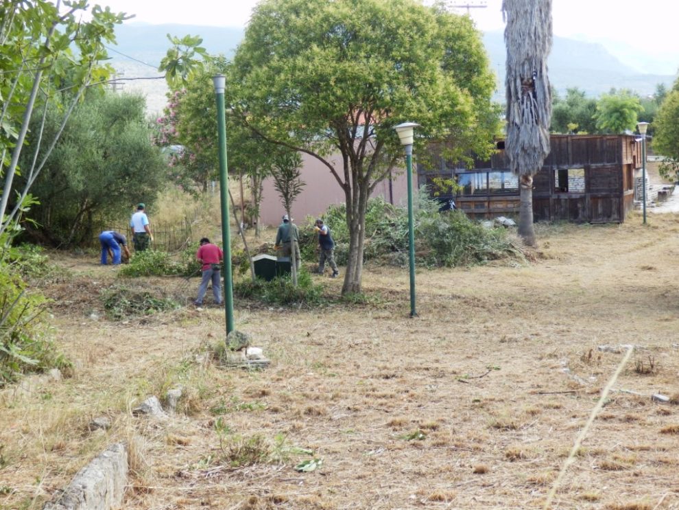 Καθαρισμοί από ανεπιθύμητη βλάστηση