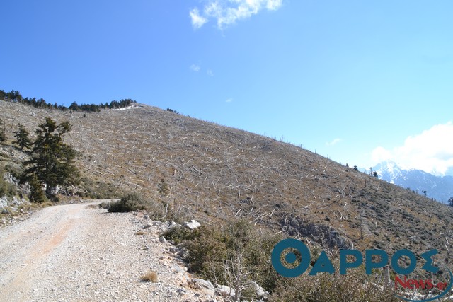 Υπογράφηκε σύμβαση από το Δασαρχείο για το δασικό οδικό δίκτυο στον Ταΰγετο