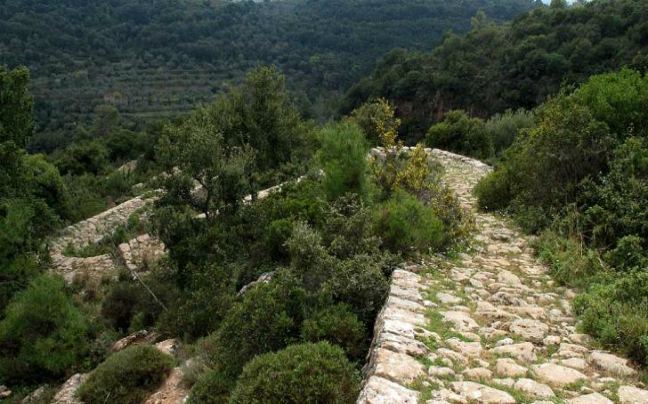 Μονοπάτια του Ταϋγέτου , μήκους 80χλμ , στο πρόγραμμα πεζοπορικός προορισμός της Ευρώπης