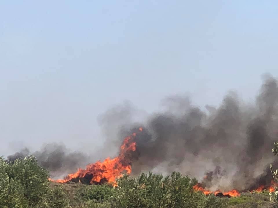 Υπό μερικό έλεγχο η φωτιά στην Ελαφόνησο