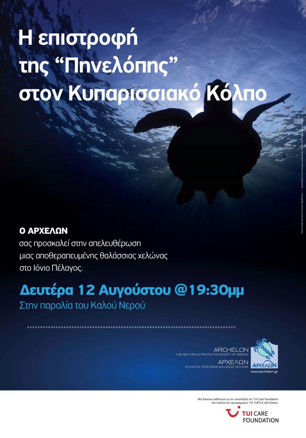 Σήμερα απελευθέρωση θαλάσσιας χελώνας στον Κυπαρισσιακό Κόλπο