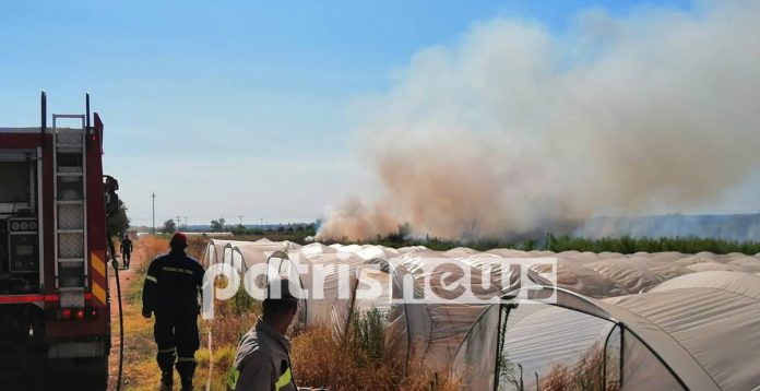 Κλειστή η ε.ο. Πάτρας – Πύργου λόγω φωτιάς στη Νέα Μανωλάδα!