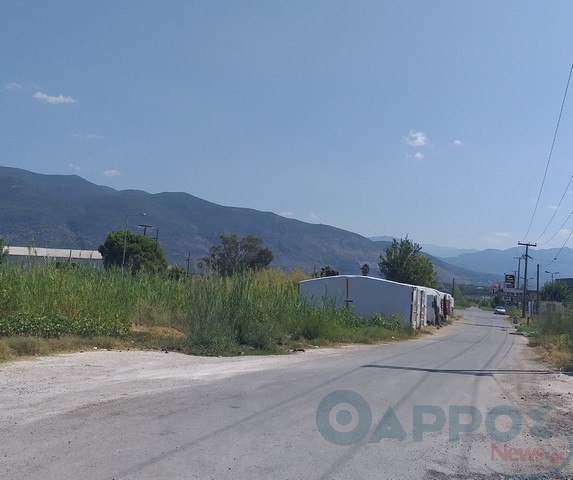 Ε.Ο. Καλαμάτας- Μεσσήνης: Ρομά και βάτα έχουν «πνίξει» τις γραμμές του ΟΣΕ