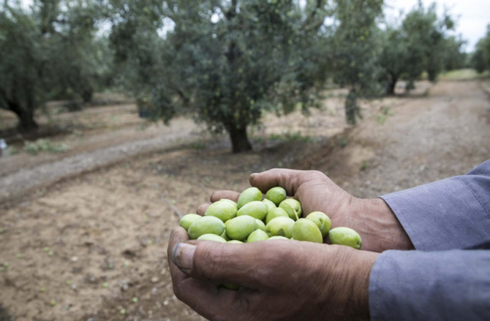 Έγκριση αιτήσεων για τους γεωργικούς συμβούλους – Ενστάσεις έως την Παρασκευή 13/9
