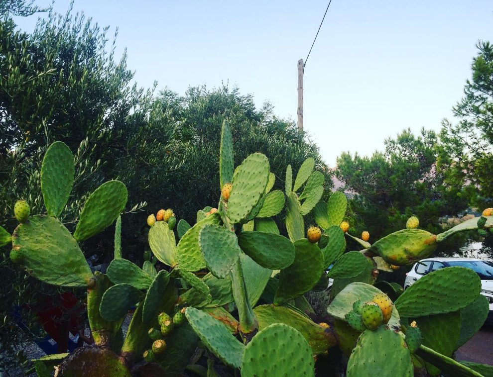 Ο καιρός αύριο Δευτέρα στην Καλαμάτα