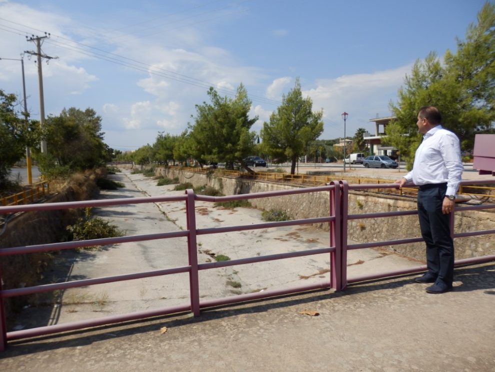 Κλάδεμα στα δένδρα στην κοίτη του Νέδοντα
