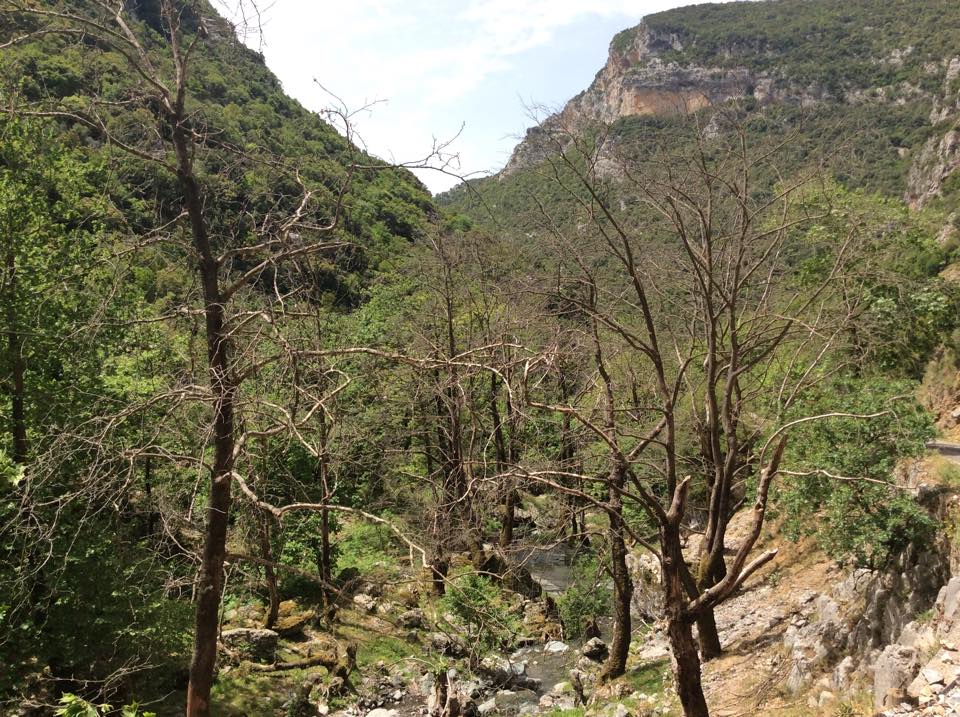 Ιερέας Νέδουσας: «Ο Ταΰγετος και τα χωριά της Αλαγονίας βιώνουν ένα οικολογικό έγκλημα»