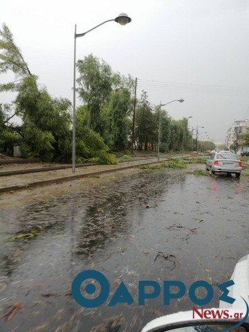 Μεγάλα προβλήματα από την ισχυρή καταιγίδα στην Καλαμάτα – Κλειστοί δρόμοι από πτώσεις δέντρων