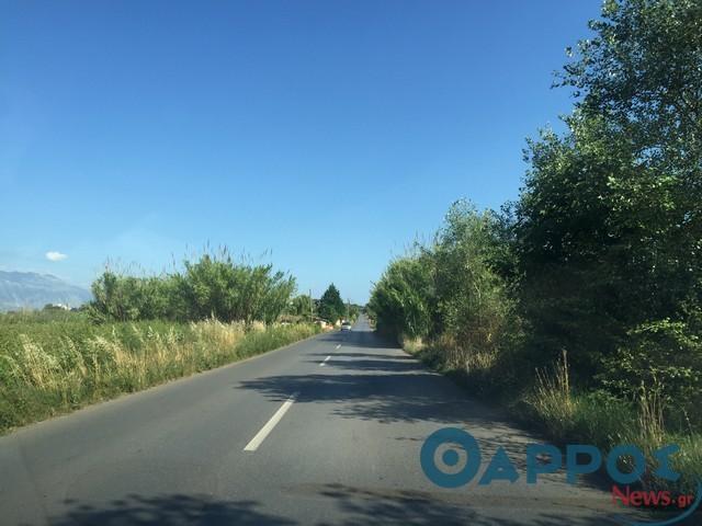Παναγιώτης Νίκας: Η σύνδεση της Αρχαίας Μεσσήνης θα ενταχθεί στο ΕΣΠΑ