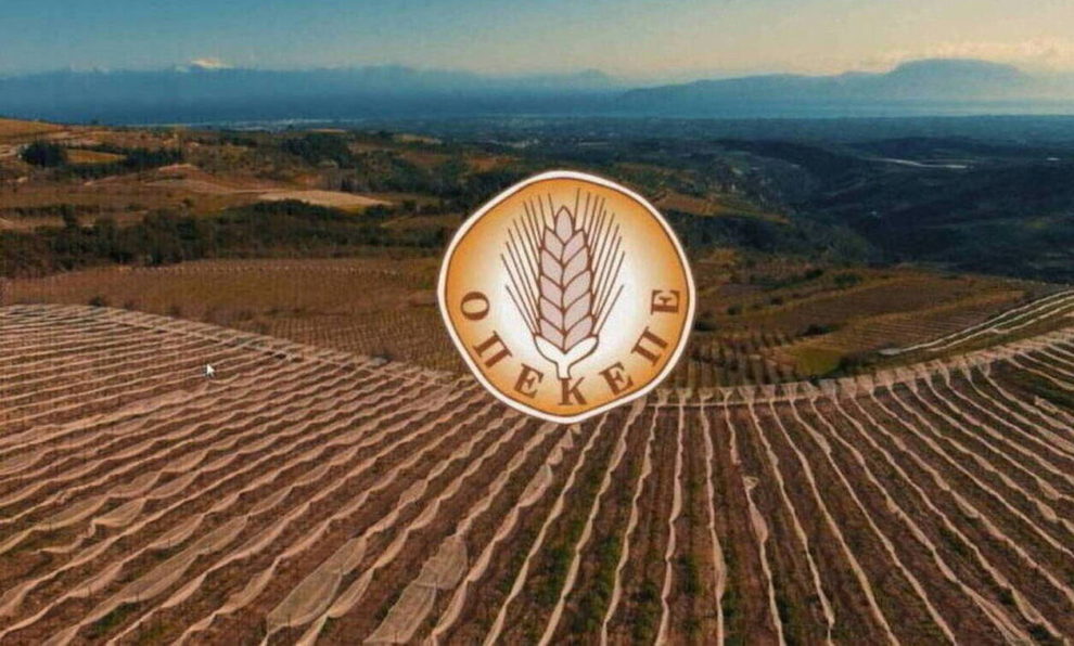 Πριν από την 28η Οκτωβρίου  πιστώνεται το 70% της ενίσχυσης στους αγρότες