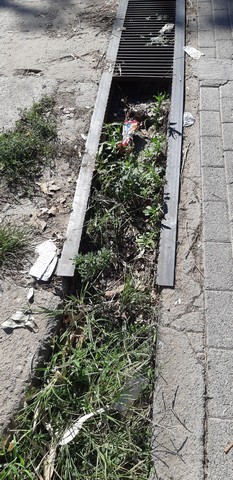 Μικρές παγίδες