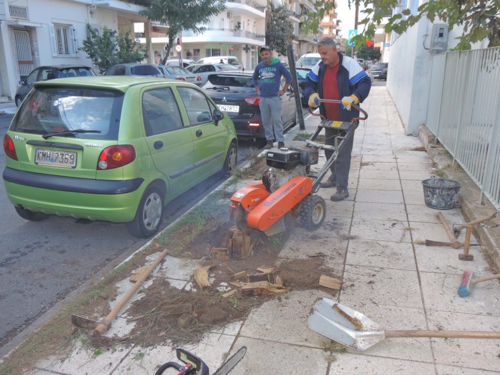 Τα «τρώει» ο πρεμνοφάγος