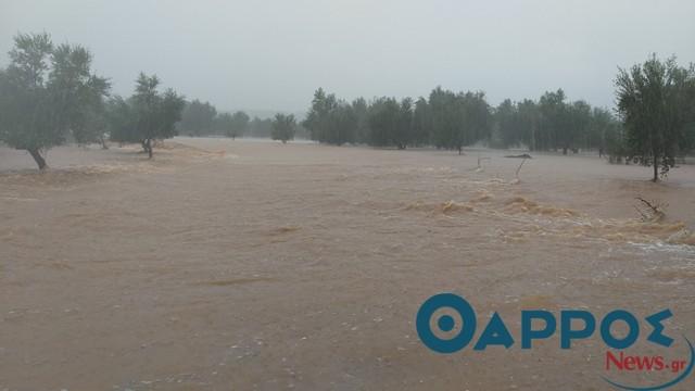 Στάθης Αναστασόπουλος: Πάνω από 1 εκατομμύριο ευρώ θα απαιτηθεί για τις ζημιές