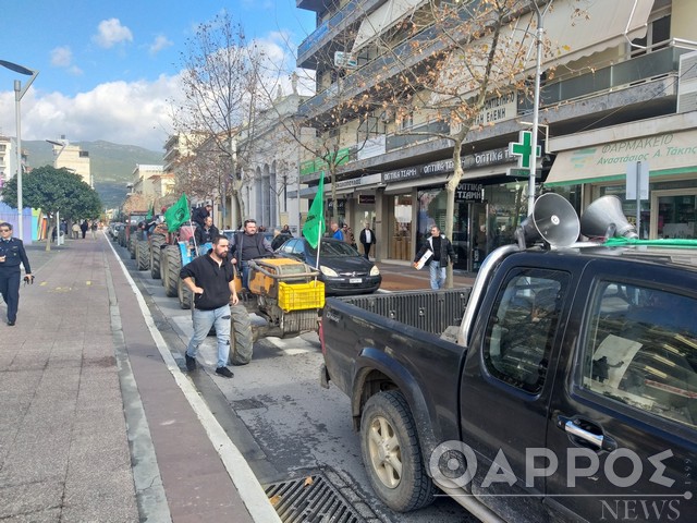 «Πνιγμένοι» από την τιμή του  ελαιολάδου οι αγρότες της Μεσσηνίας