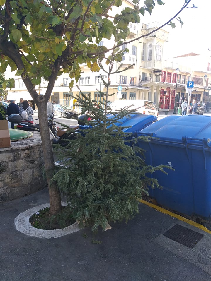 Ανακύκλωση φυσικών χριστουγεννιάτικων δέντρων