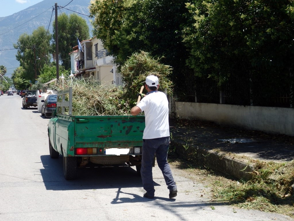 Μάχη για αποψίλωση και κλαδέματα