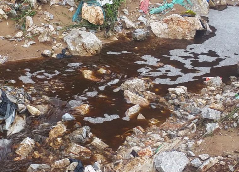 Μ. Μάκαρης: Τραγικές συνέπειες για το περιβάλλον και τη δημόσια υγεία από την αδράνεια της Δημοτικής Αρχής