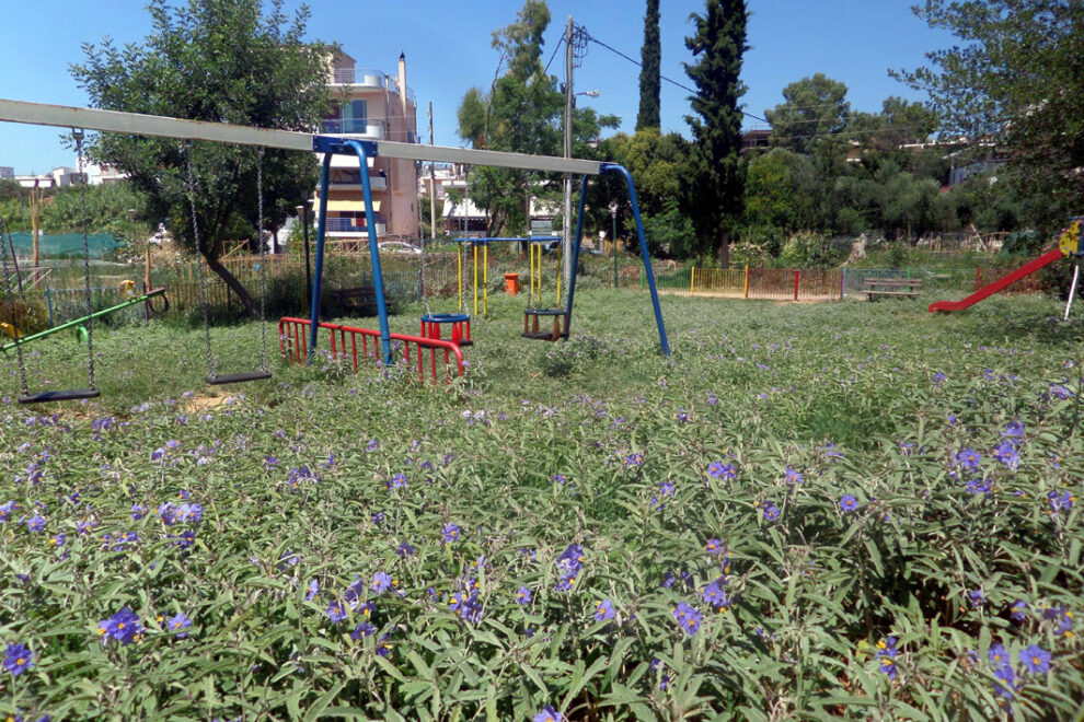 Πνιγμένη στα χορτάρια η παιδική χαρά
