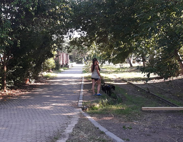 Π.Νίκας: «Όποιος μπαίνει μέσα στο Πάρκο με το σκύλο του, θα παίρνει πρόστιμο»