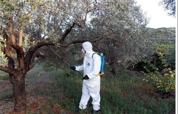 Πιλοτική εφαρμογή βιολογικής μεθόδου δακοκτονίας στην Περιφέρεια Πελοποννήσου