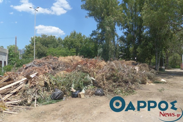 Ένα επικίνδυνο «βουνό» κλαριά και χόρτα μέσα στην Καλαμάτα