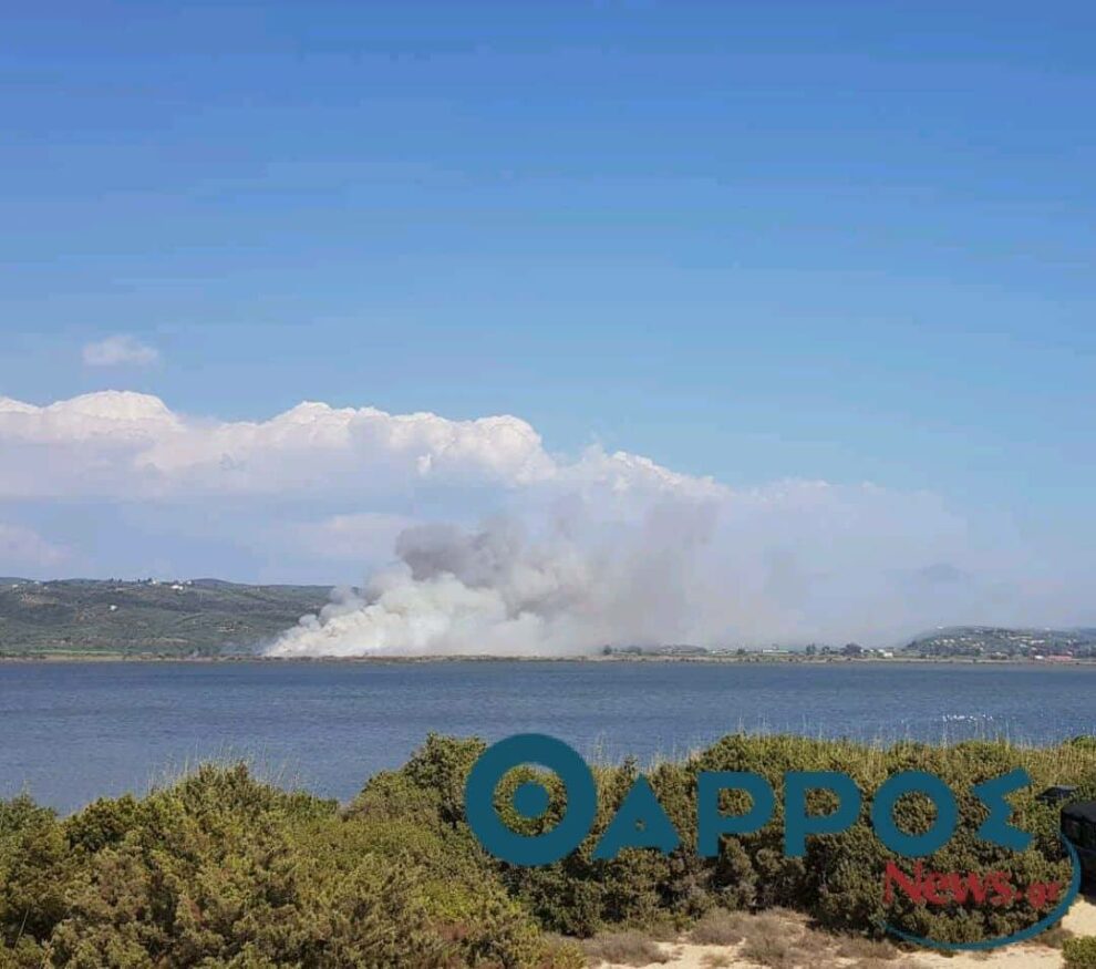 Υπό έλεγχο η φωτιά , αφού έκαψε 100 στρέμματα, στη Γιάλοβα της Πύλου! ( φωτογραφίες & βίντεο)