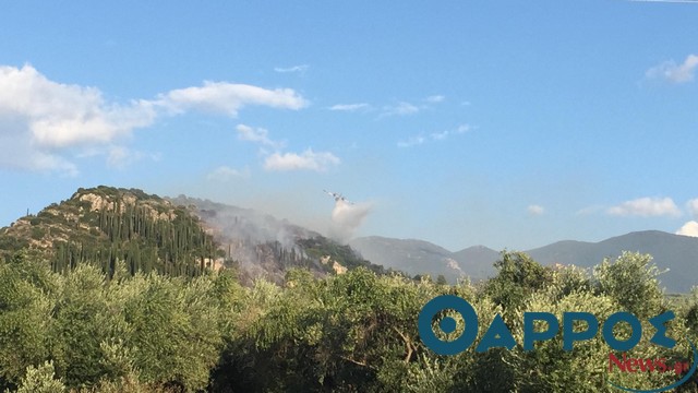 Υπό έλεγχο η φωτιά στο Πήδημα