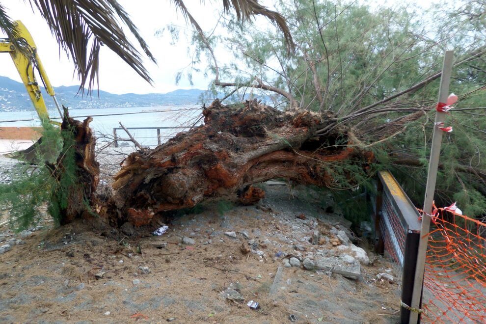 Οι ισχυροί άνεμοι χτυπούν «αλύπητα» τη Μεσσηνία