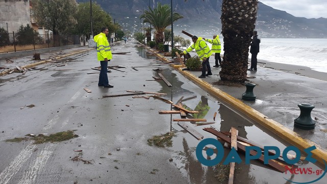 Αυτοί δεν είναι επαγγελματίες
