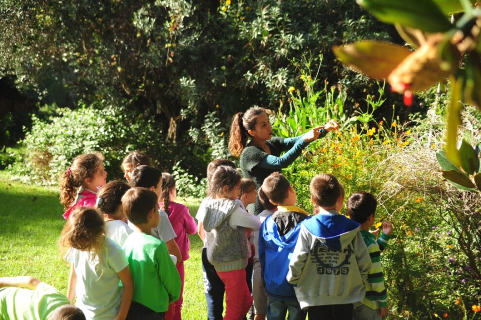 «Κυριακή στο Αγρόκτημα» Φοίφα