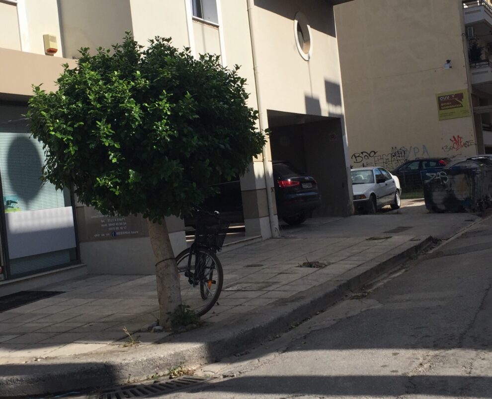 Τι απέγιναν τα άλλα δύο δεντράκια…