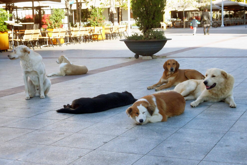 Λιάζονται…