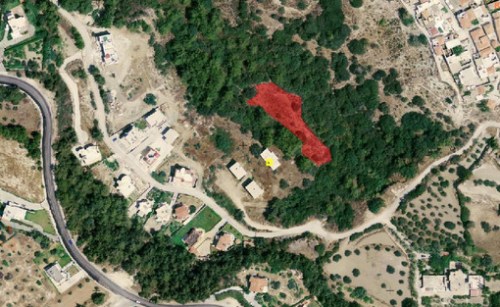 Από Ελαιοχώρι και Ελαία θα αρχίσει η εξέταση αντιρρήσεων για τους δασικούς χάρτες