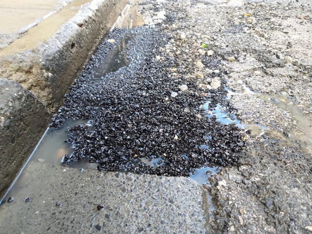 Έκλεισαν «τους κρατήρες» της Αναγνωσταρά…