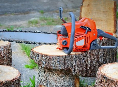 Τον είδε ο γιος να κουβαλάει το κλεμμένο αλυσοπρίονο του πατέρα του