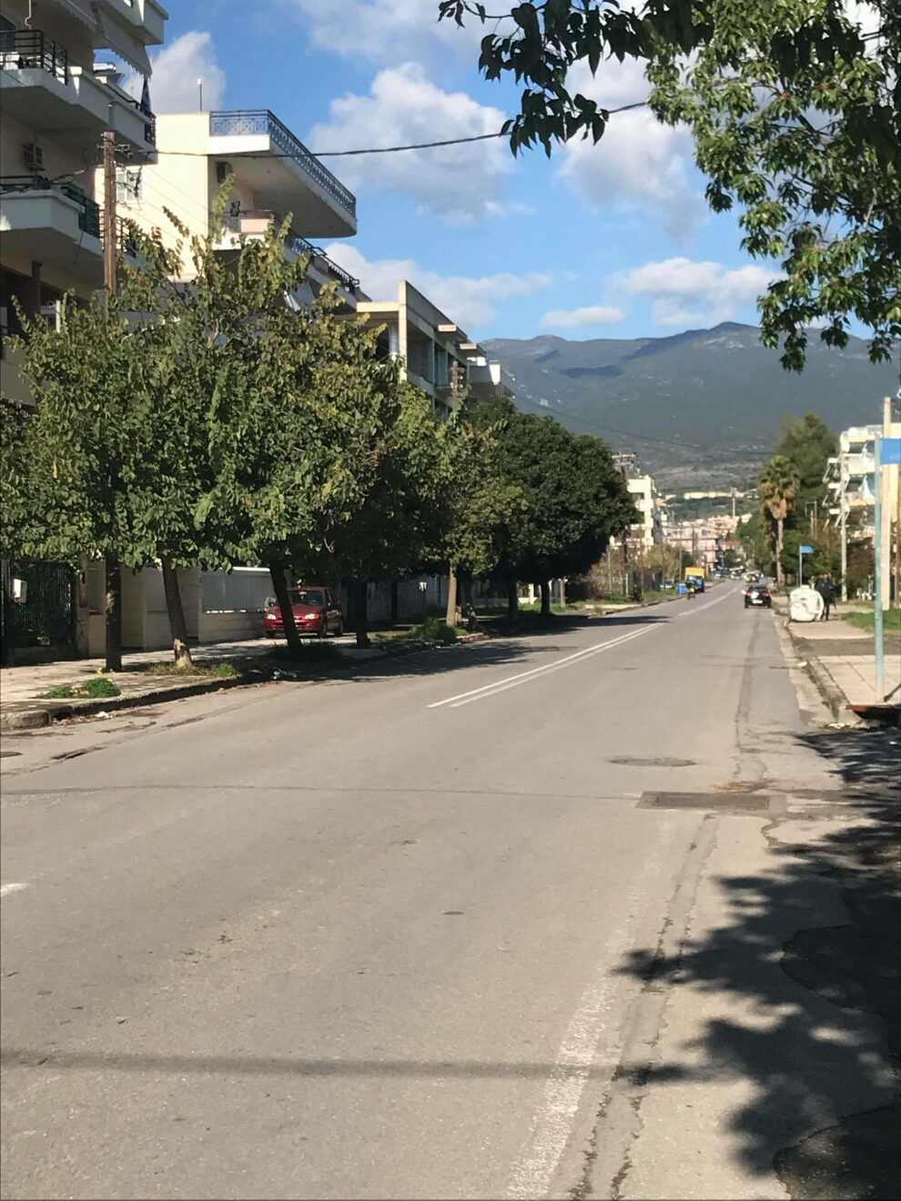 Κίνδυνος ατυχήματος από δέντρα στην Ηρώων