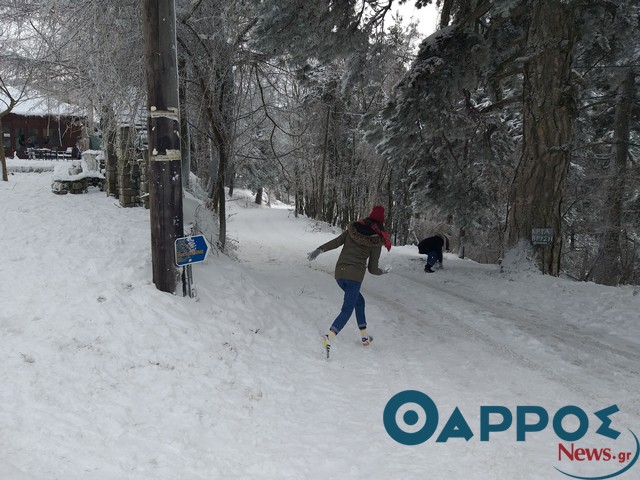 Η αδιαφορία για τον Ταΰγετο