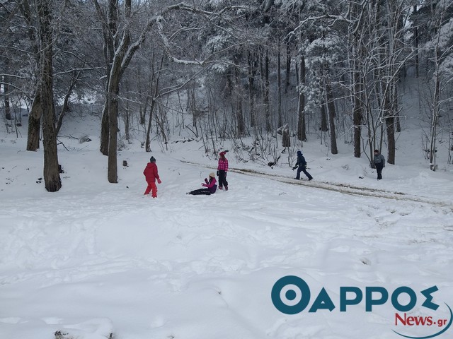 Μια βόλτα στον Ταΰγετο