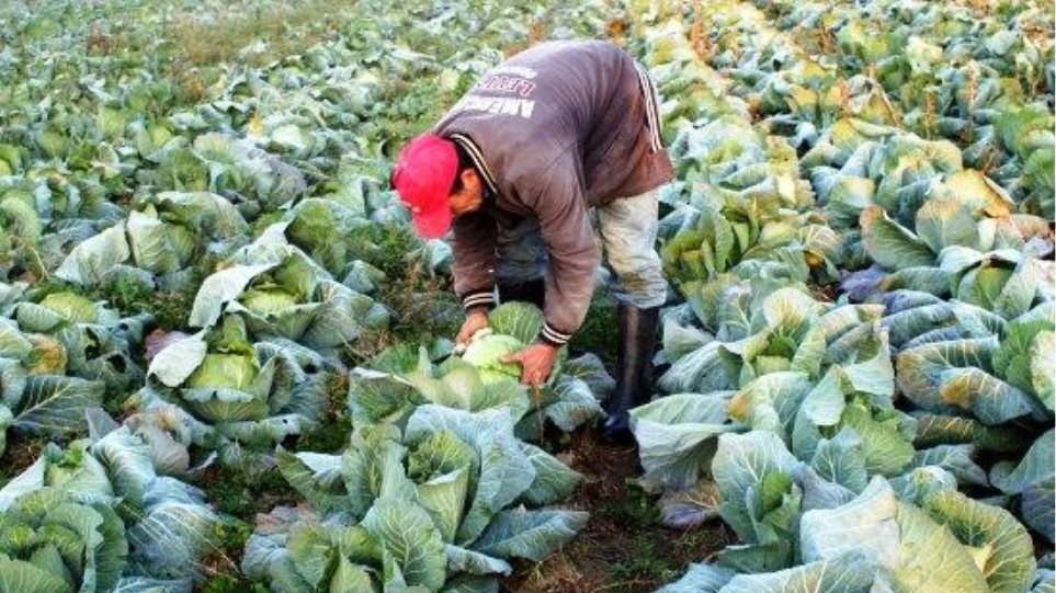 Κατατέθηκε στη Βουλή το ν/σ  για τους Αγροτικούς Συνεταιρισμούς