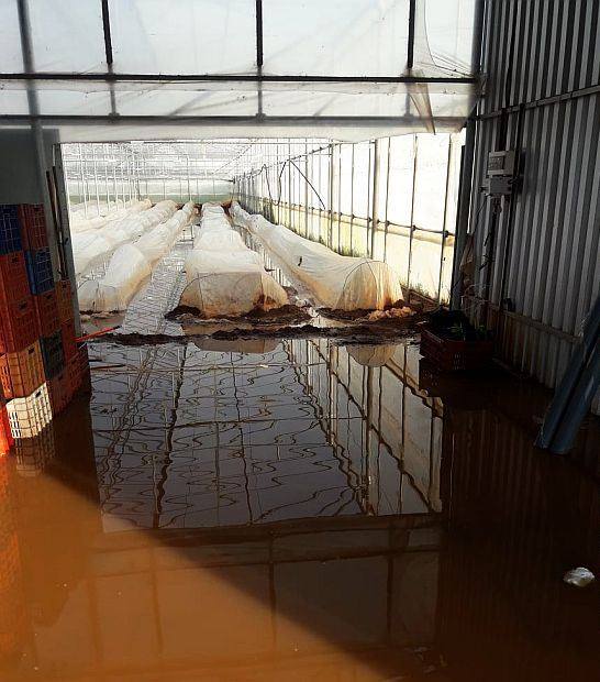 Πλημμύρισαν θερμοκήπια,  καταστράφηκαν καλλιέργειες στα Φιλιατρά!