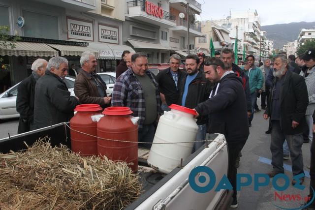 Οι κτηνοτρόφοι της Μεσσηνίας θα σφάξουν 9.000 πρόβατα αφού δεν μπορούν να πουλήσουν το γάλα τους
